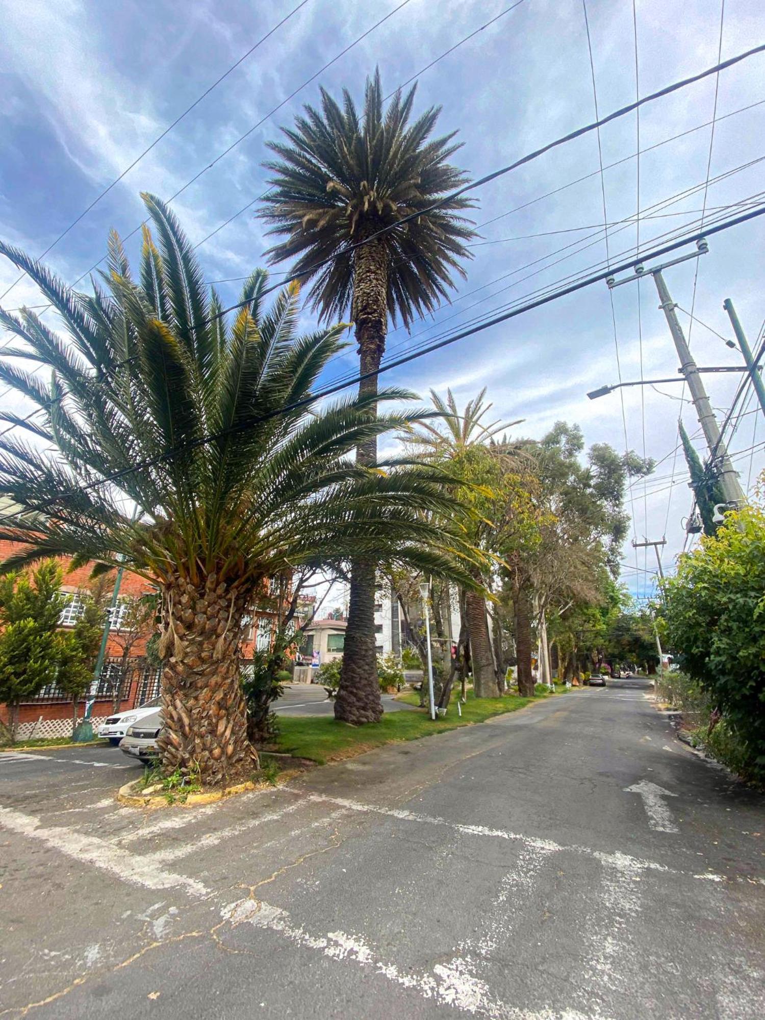 Apartment Modern Studio, Rooftop Charm, Cdmx Center2 Mexiko-Stadt